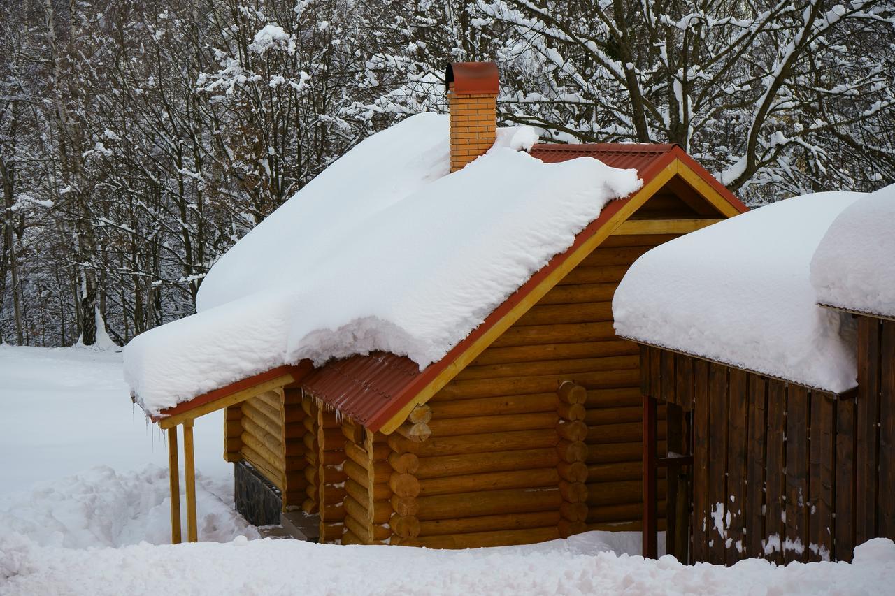 Пори Року Sinyak (Transcarpathia) Exterior foto