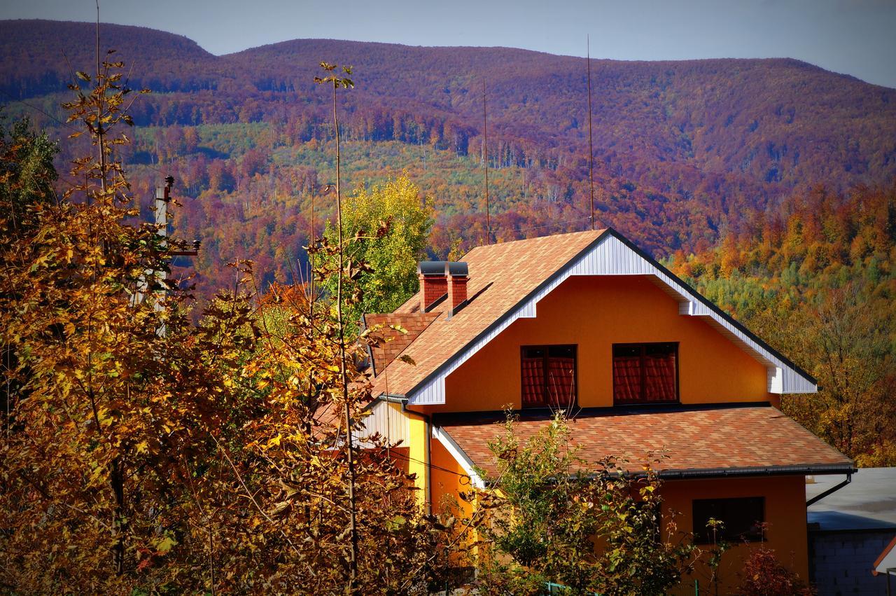 Пори Року Sinyak (Transcarpathia) Exterior foto